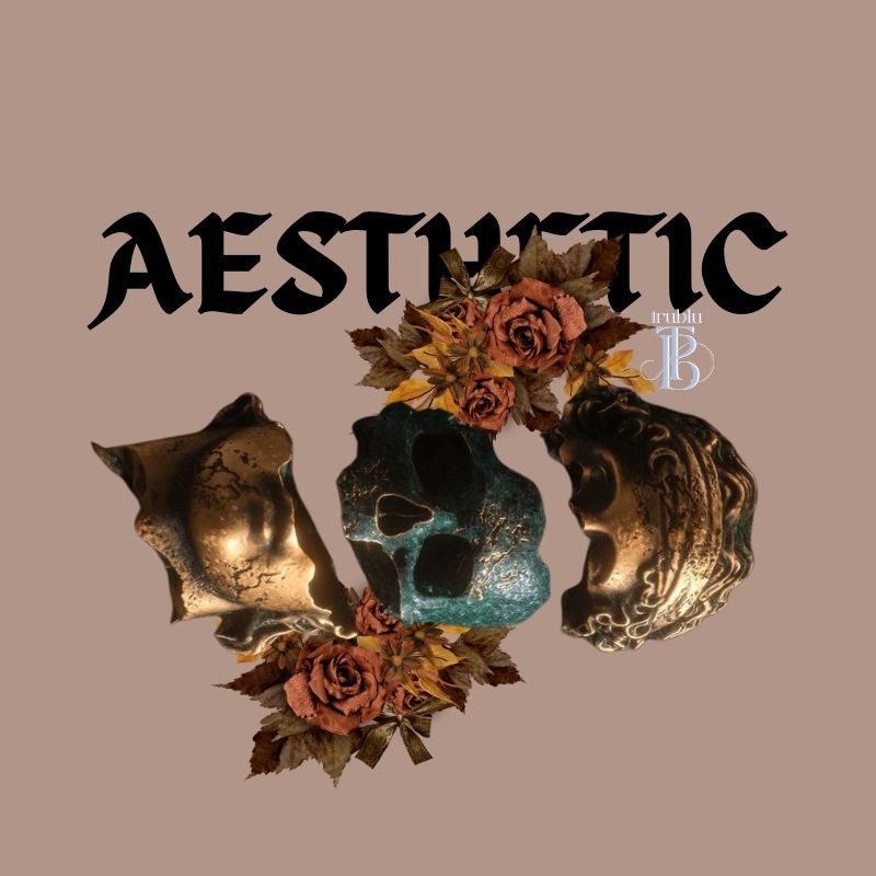 Aesthetic Hoodie