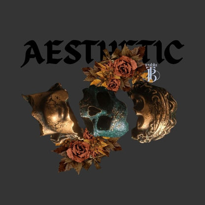 Aesthetic Hoodie