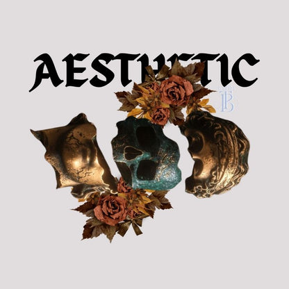 Aesthetic Hoodie